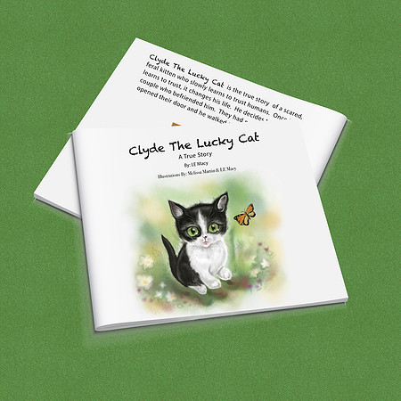 8.5 x 8.5 Soft Cover $11.99