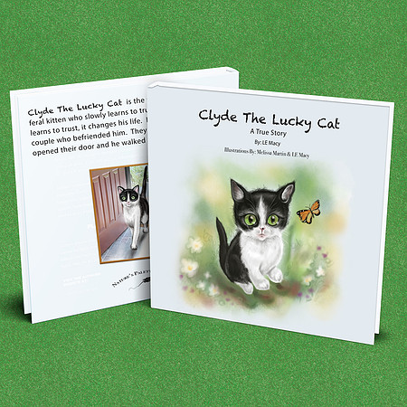 8.5 x 8.5 Hard Cover $19.99