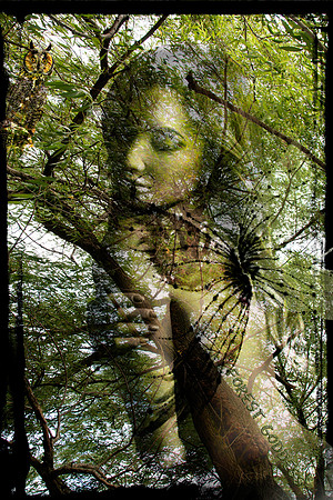 Forest Goddess