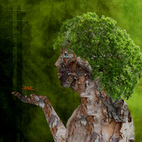 Goddess Of The Elemental North Earth