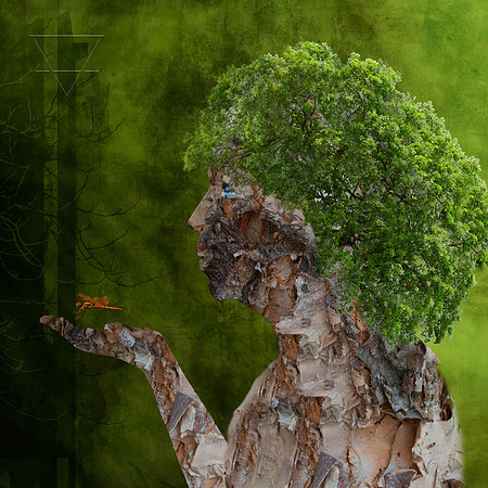 Goddess Of The Elemental North Earth