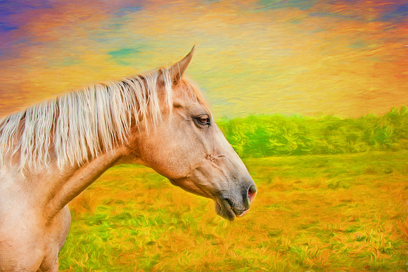 Horse Horizon