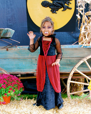 DSC_9065