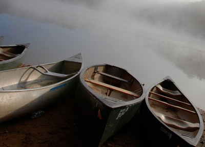 Fog Rolls In