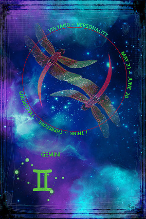 Gemini Vertical
