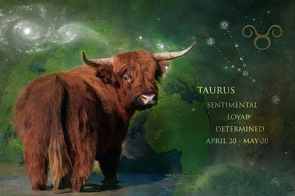 Taurus