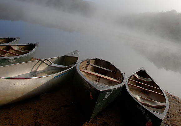 Fog Rolls In  Award Winner