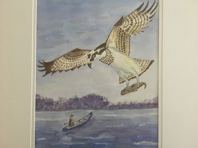 Osprey
