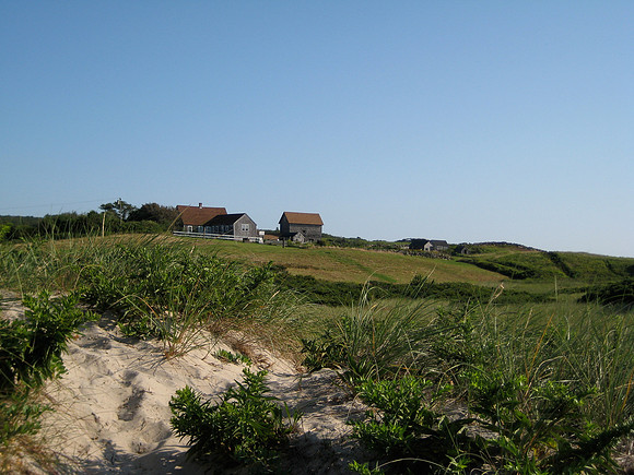 IMG_4382.JPG