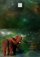 Taurus Card