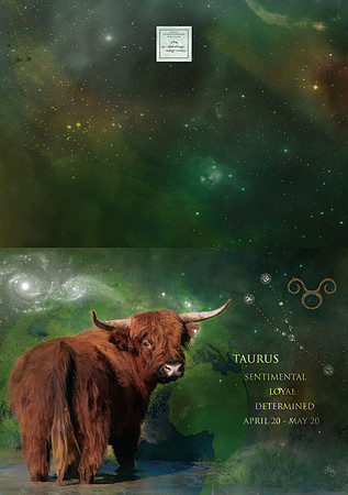 Taurus Card