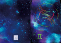 Gemini Card-2