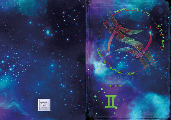 Gemini Card-2