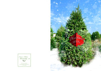 COVID X-Mas 5x7 Outside