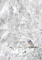 Snow Jay 5x7 Outside