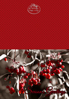 Season Greetings 5x7 Outside