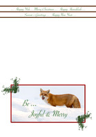 Foxy 5x7 Inside
